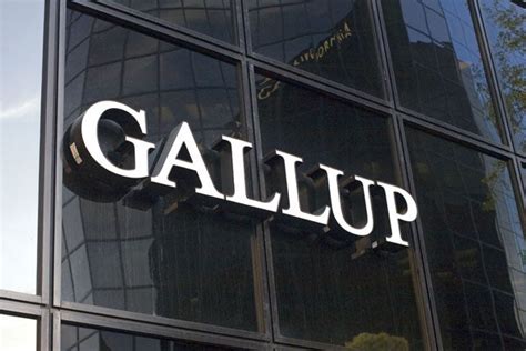 gallup market research